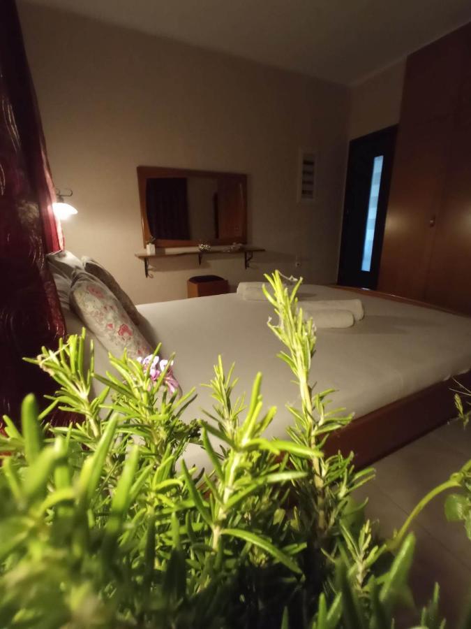 Villa Erasmia Dekarcho Eksteriør billede
